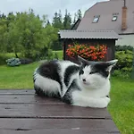 Osmelakowa Dolina 팜스테이