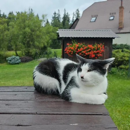 Osmelakowa Dolina Vakantieboerderij