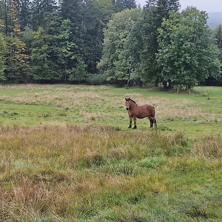 Osmelakowa Dolina Bauernhof *