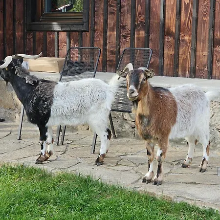 Bauernhof Osmelakowa Dolina Spalona