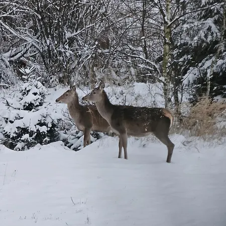 Vakantieboerderij Osmelakowa Dolina