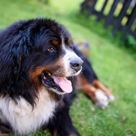 Bauernhof Osmelakowa Dolina *