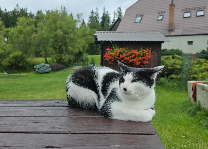 Osmelakowa Dolina Κατάλυμα σε φάρμα