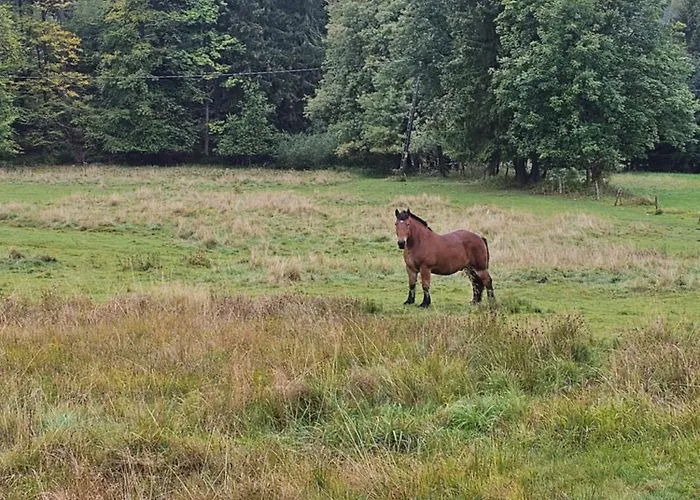 Osmelakowa Dolina Κατάλυμα σε φάρμα *