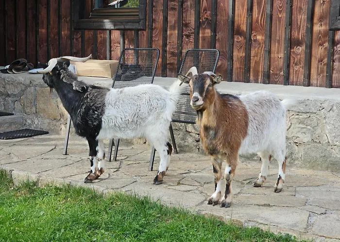 Κατάλυμα σε φάρμα Osmelakowa Dolina Spalona