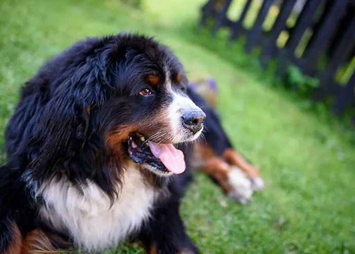 Κατάλυμα σε φάρμα Osmelakowa Dolina *